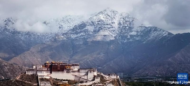 春来高原 只此青绿