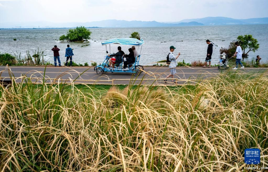 小渔村:依托滇池 生态富民