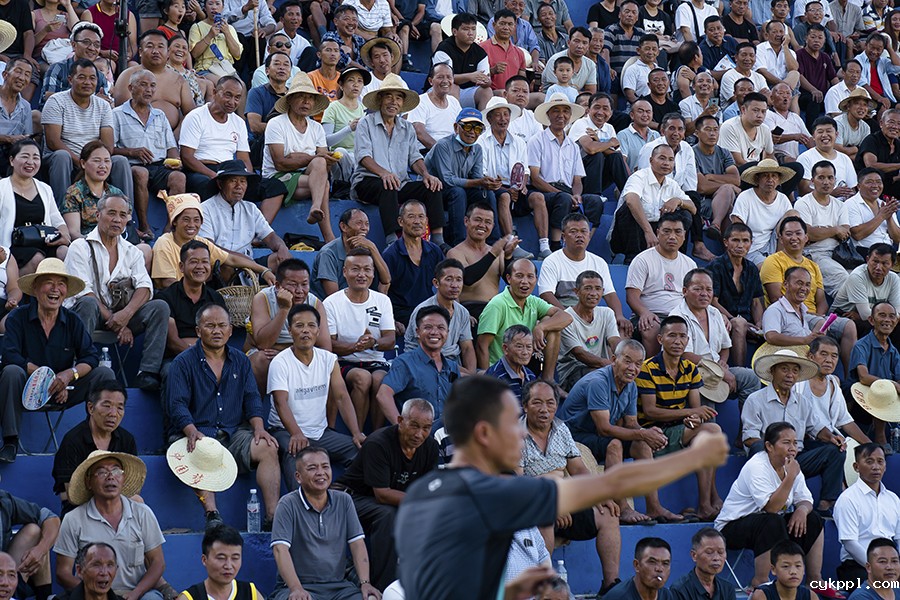 图片故事 |“村BA”里的乡土中国 图片故事 |“村BA”里的乡土中国