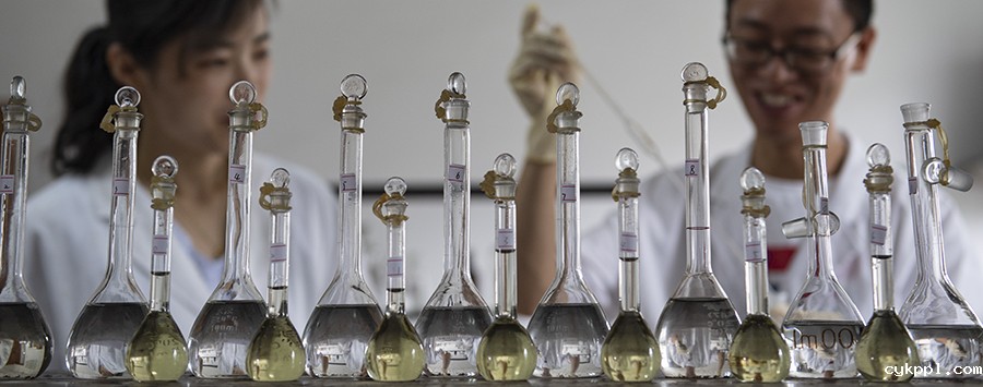 自产农业“芯片” 端稳“中国饭碗”