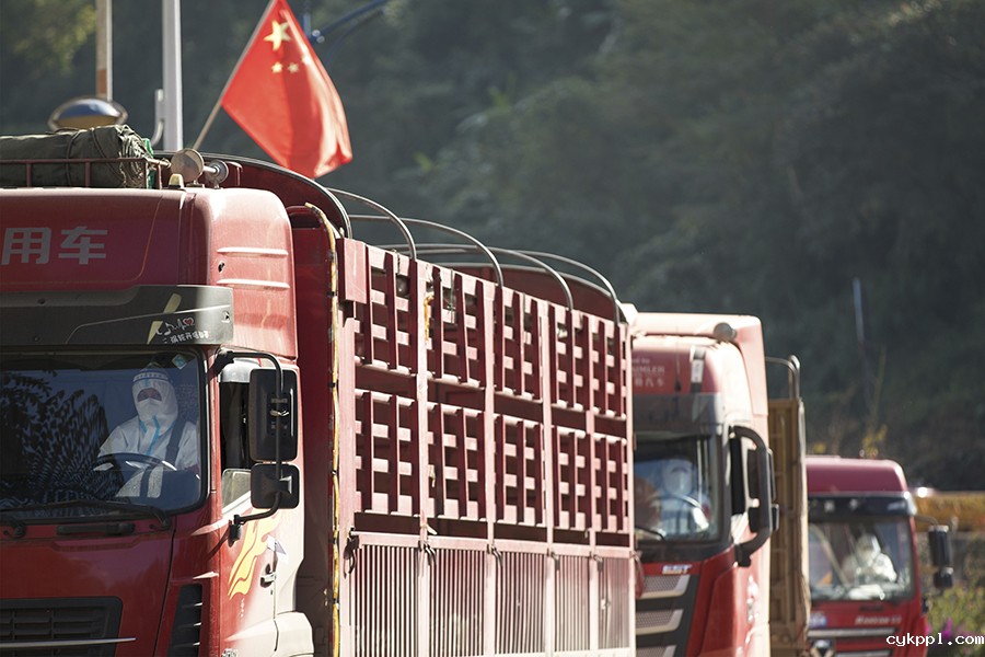 云南抗疫守边人 云南抗疫守边人