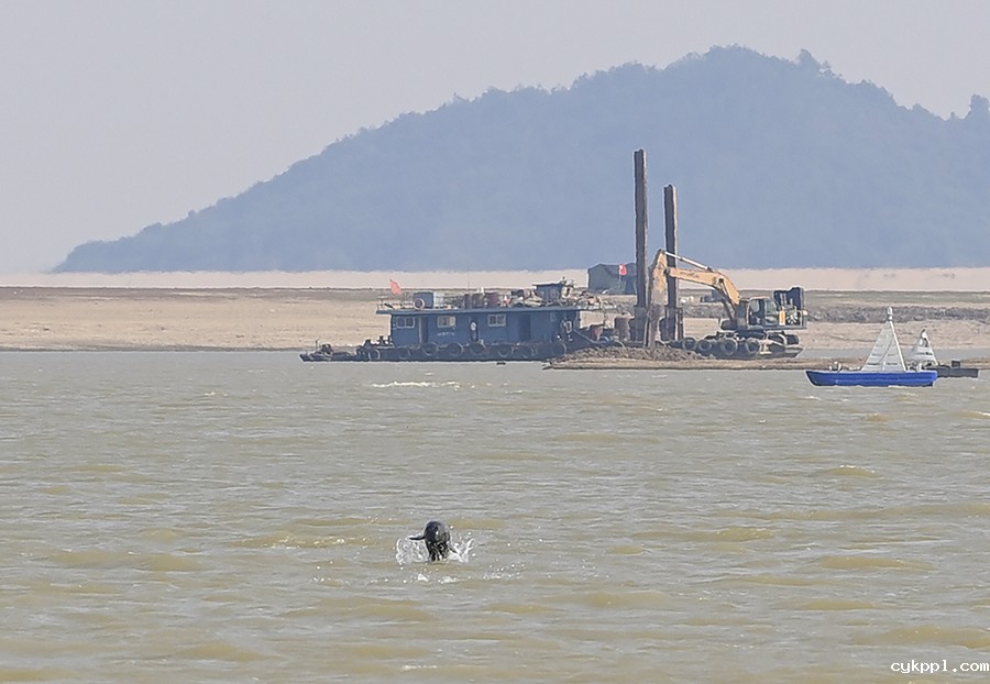 极枯鄱湖 生态大考 极枯鄱湖 生态大考