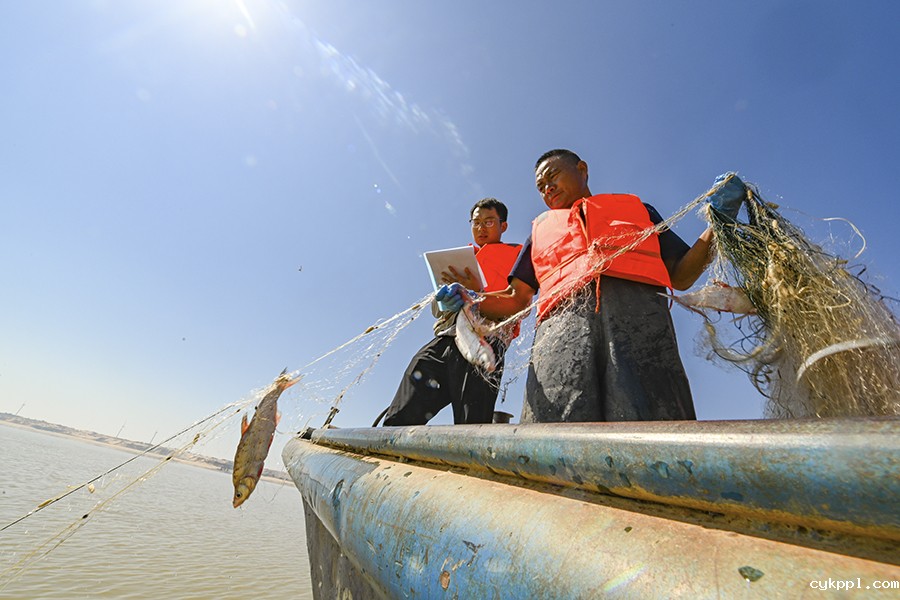 极枯鄱湖 生态大考 极枯鄱湖 生态大考