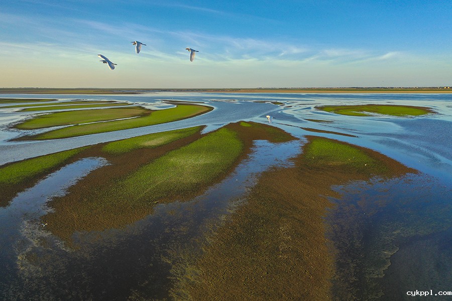 极枯鄱湖 生态大考 极枯鄱湖 生态大考
