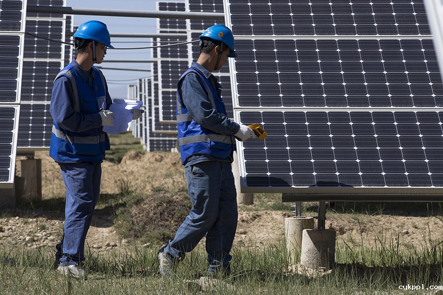 戈壁滩上长出了光伏牧场