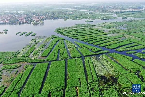 新华全媒+|天空之眼瞰雄安:拔地而起的“未来之城”