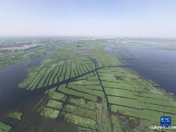 新华全媒+|天空之眼瞰雄安:拔地而起的“未来之城”