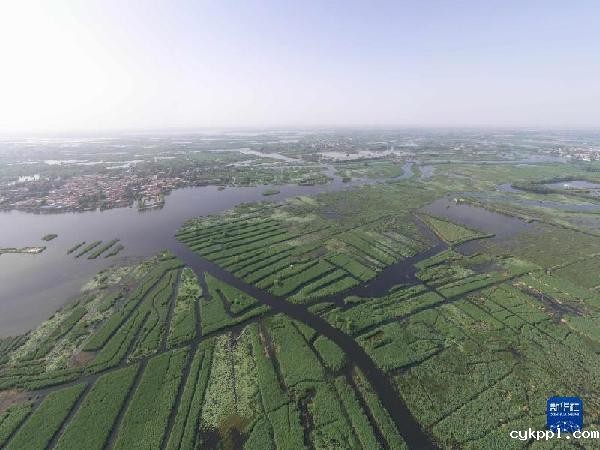 新华全媒+|天空之眼瞰雄安:拔地而起的“未来之城”