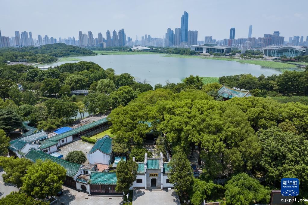 解码文化自信的城市样本丨英雄城里迎知音——解码江城武汉的文化自信样本