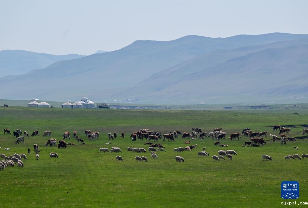 阿鲁科尔沁草原夏日景色