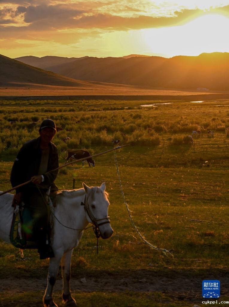 阿鲁科尔沁草原夏日景色