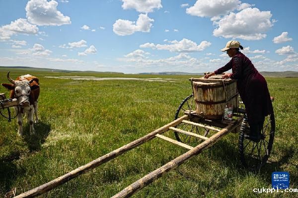 呼伦贝尔大草原