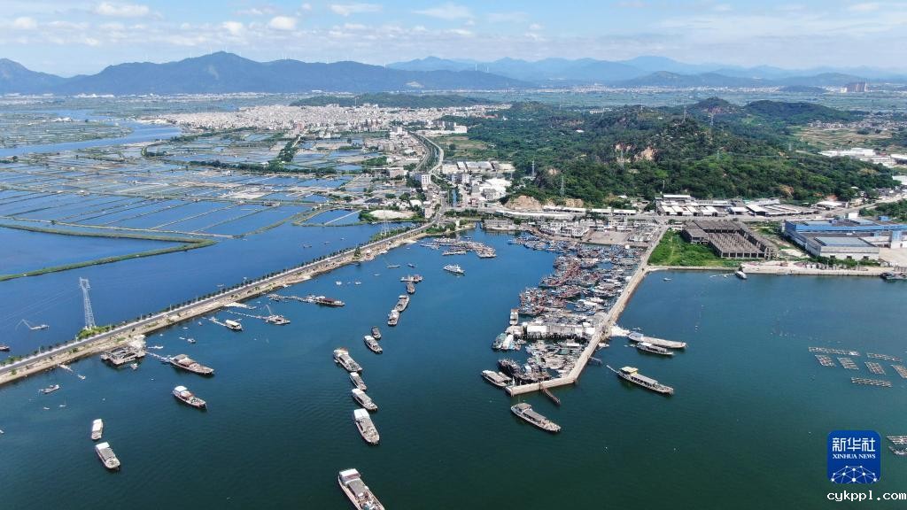 广东饶平：水产养殖谱写现代“海洋牧歌”