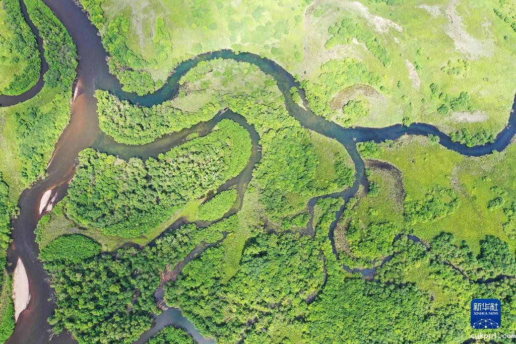 夏日里的免渡河湿地