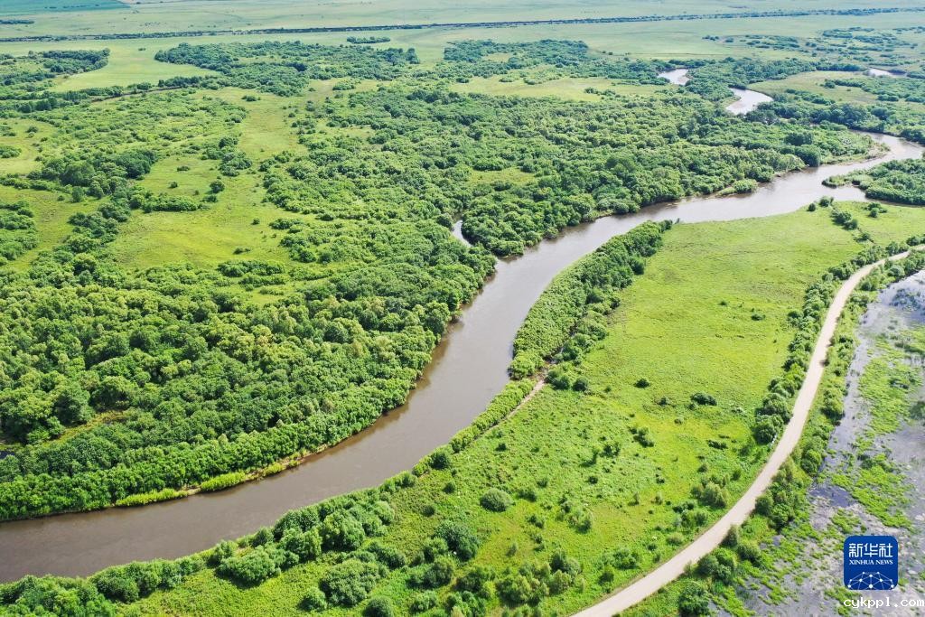 夏日里的免渡河湿地