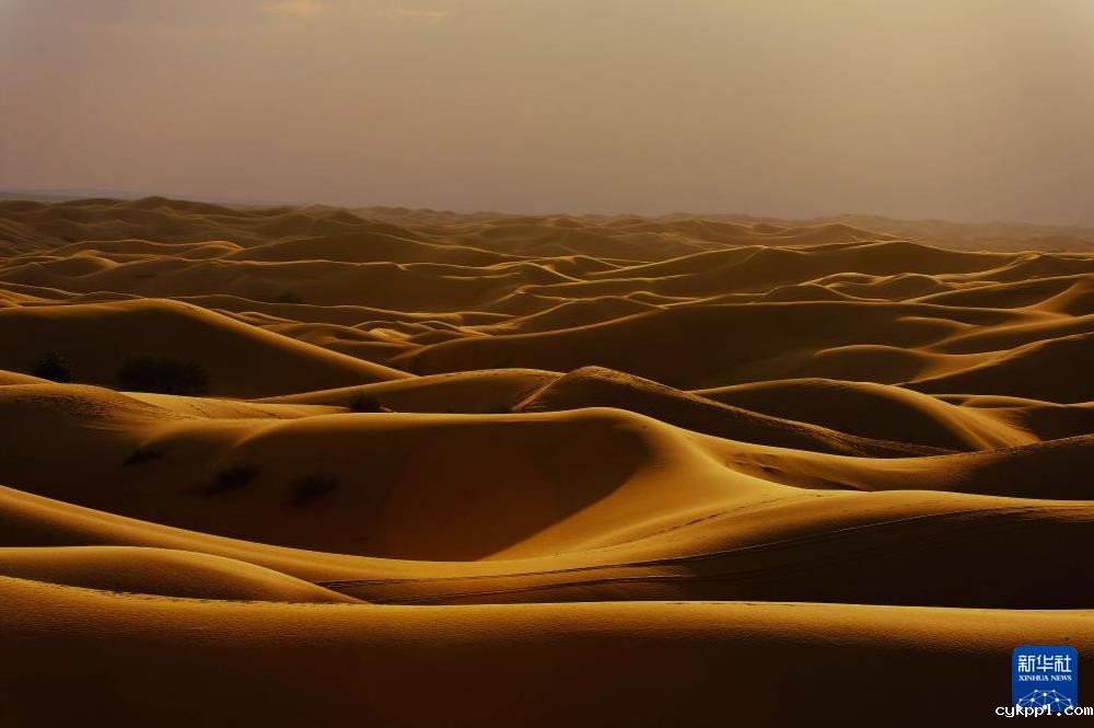库布其沙漠风光美