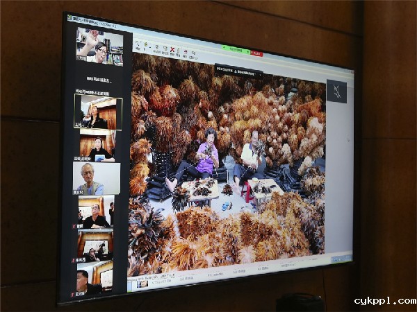 海峡两岸摄影名家邀请展评选在北京举行