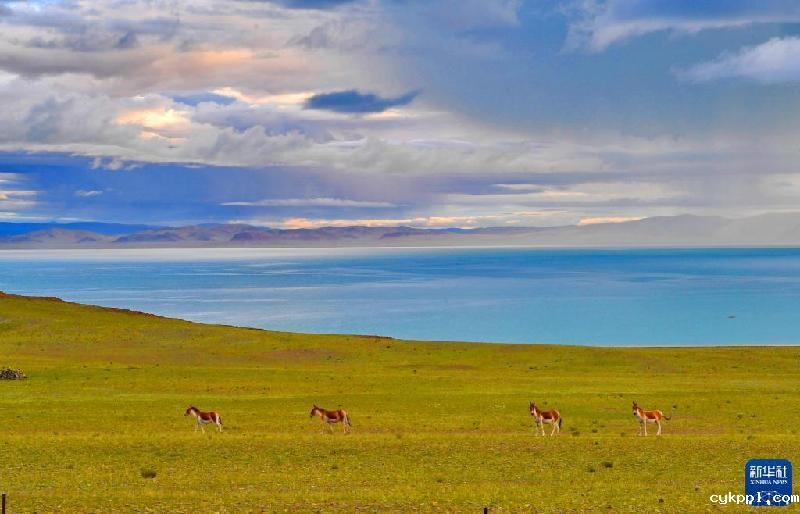 西藏:美丽的扎日南木错