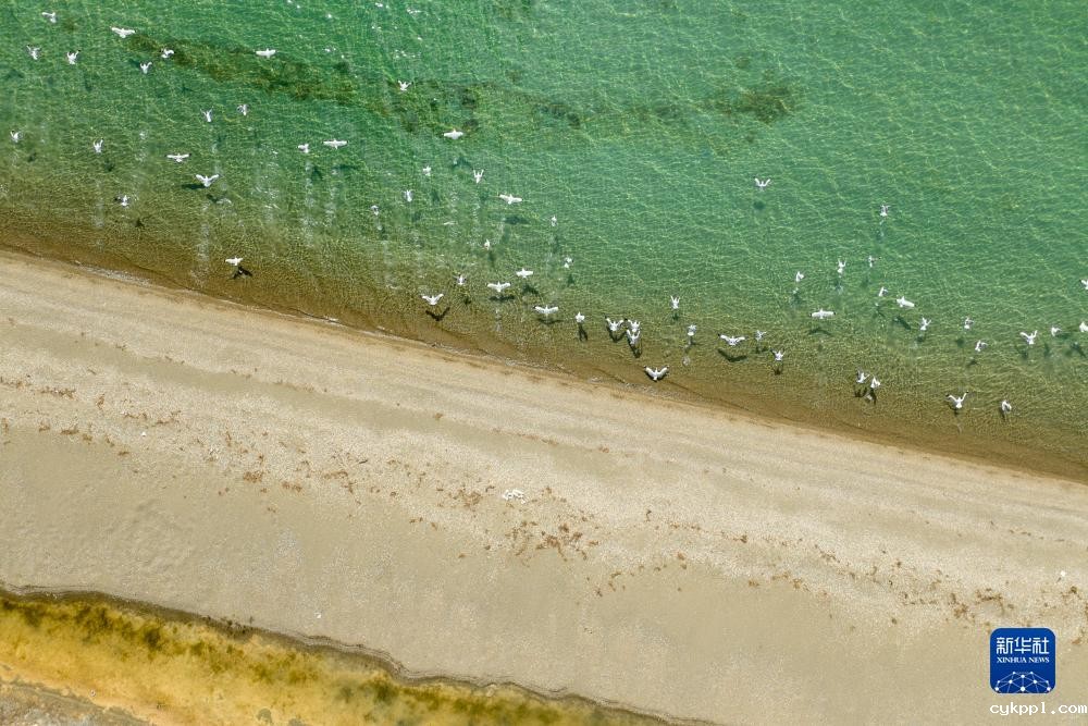 别若则错：高海拔湖泊的独特之美