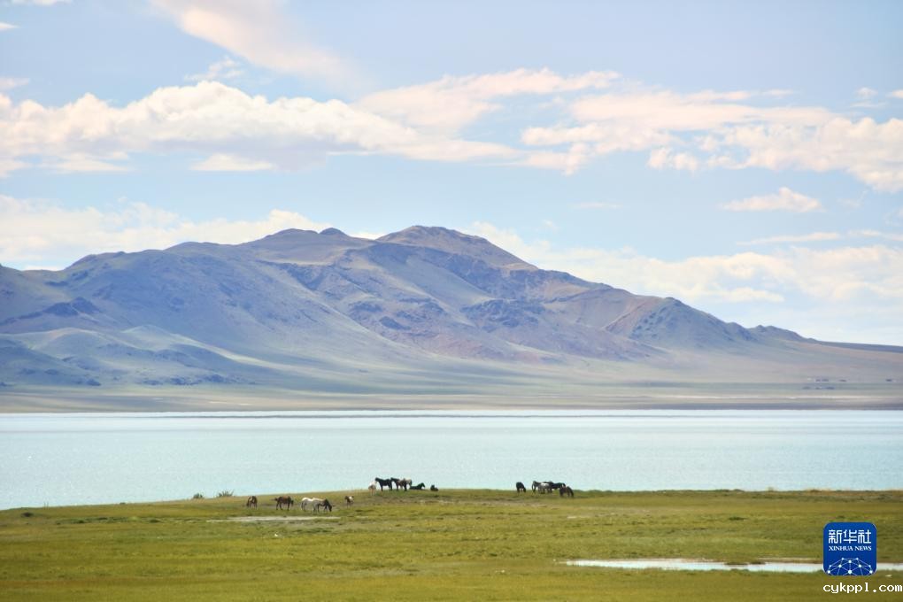 别若则错：高海拔湖泊的独特之美