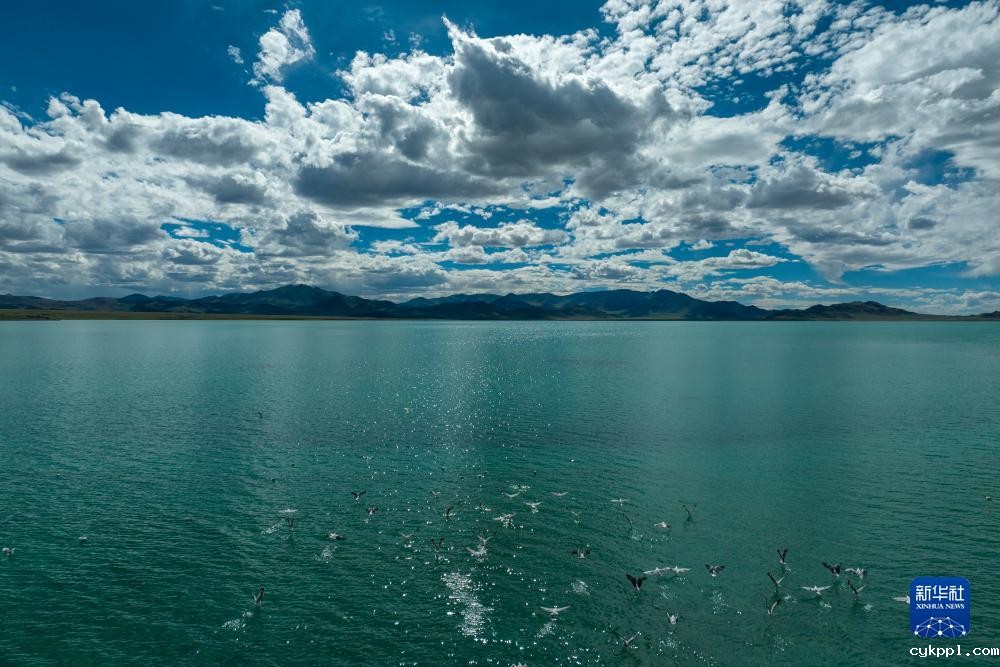 别若则错：高海拔湖泊的独特之美