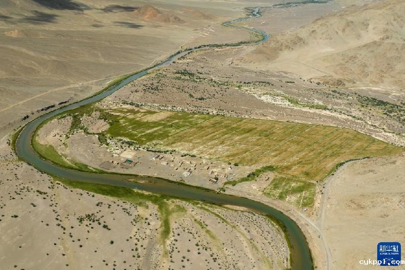 久美老人:西藏高海拔青稞田里的“守望者”