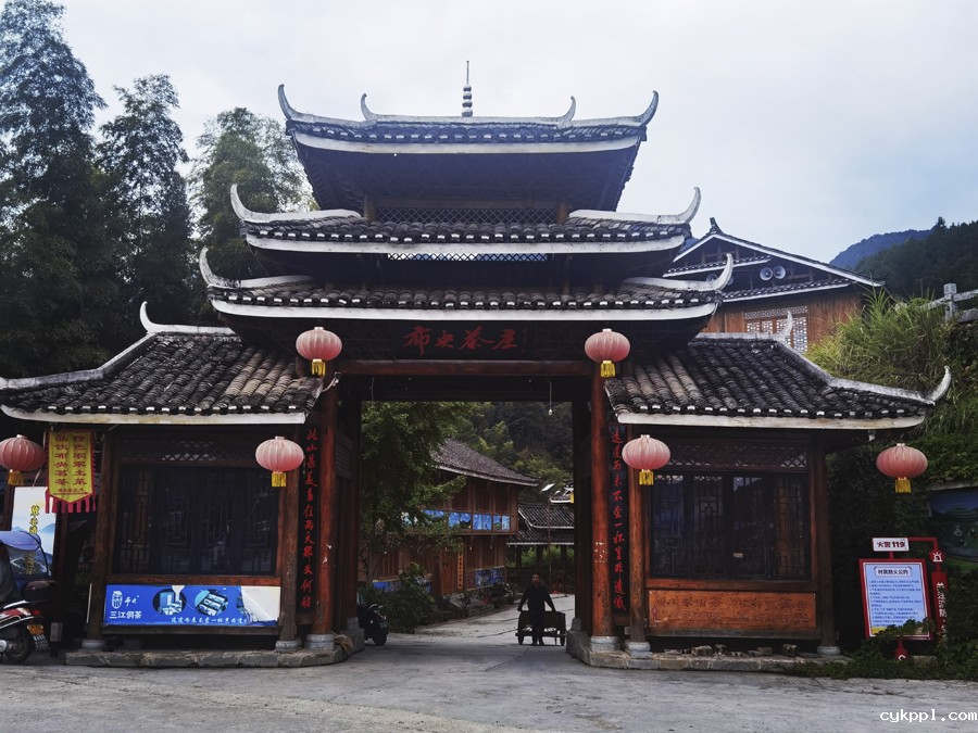 广西柳州:茶香侗情 景色迷人 广西柳州:茶香侗情 景色迷人