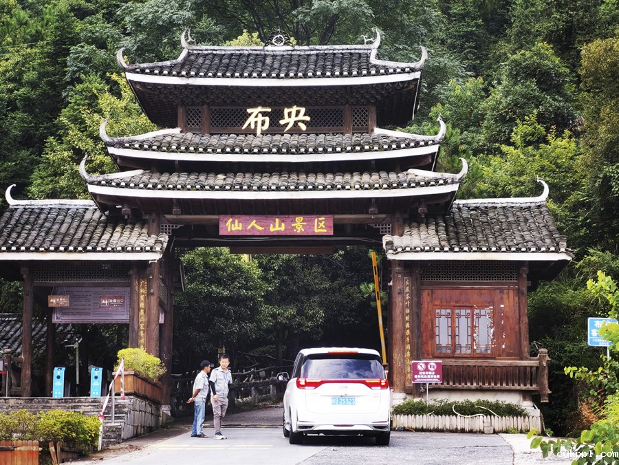 广西柳州:茶香侗情 景色迷人 广西柳州:茶香侗情 景色迷人