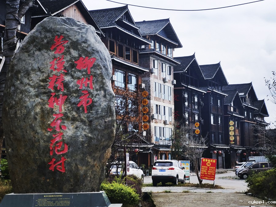 广西柳州:茶香侗情 景色迷人 广西柳州:茶香侗情 景色迷人