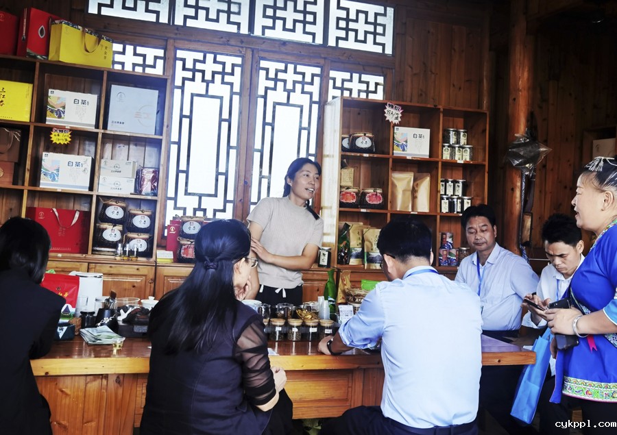 广西柳州:茶香侗情 景色迷人 广西柳州:茶香侗情 景色迷人