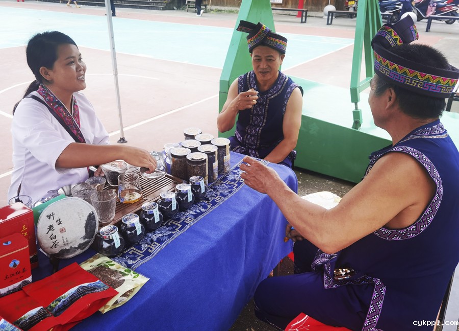 广西柳州:茶香侗情 景色迷人 广西柳州:茶香侗情 景色迷人