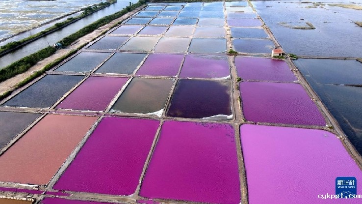 无人机航拍盐田