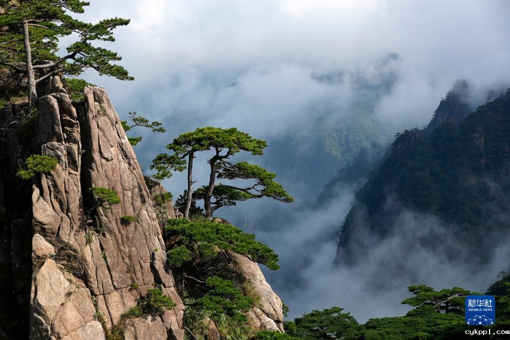 美丽中国|安徽黄山:奇峰云海