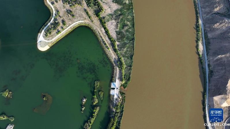 新华全媒+｜沙水交融 魅力沙坡头