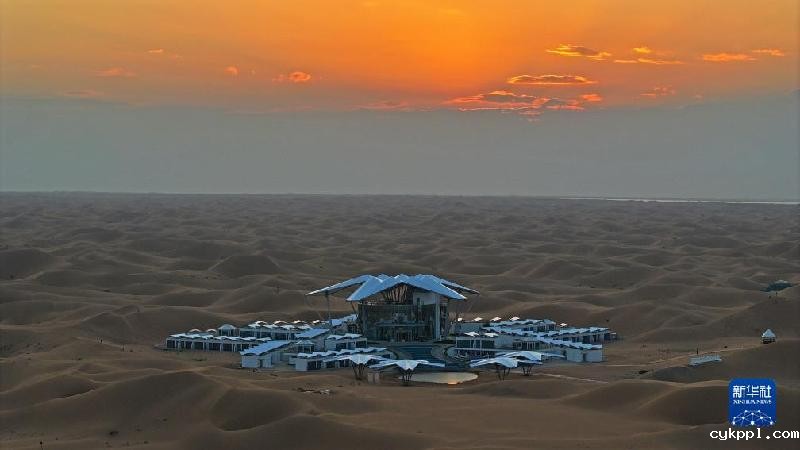 新华全媒+｜沙水交融 魅力沙坡头