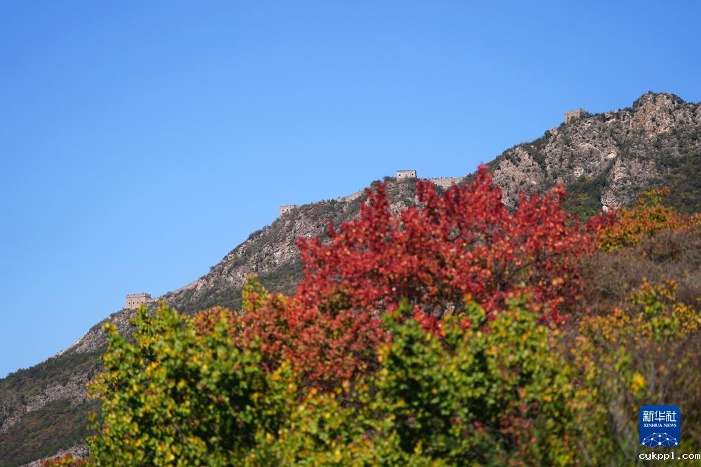 美丽中国丨司马台长城秋色