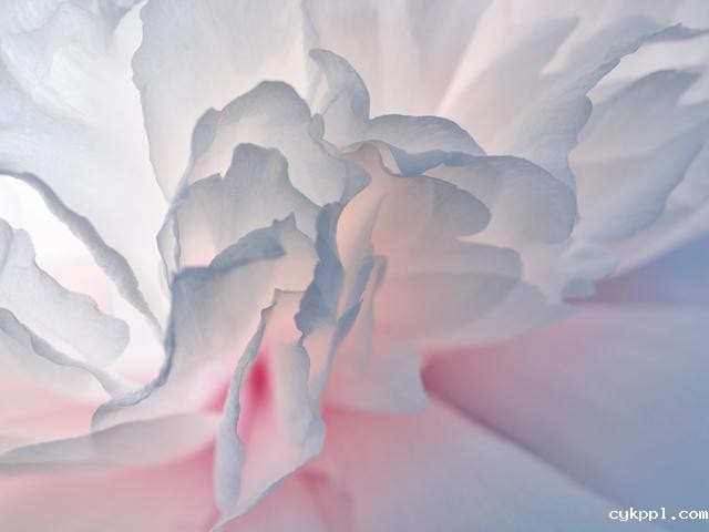 王昆峰：探索打开物性的超视觉影像