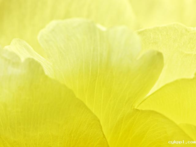 王昆峰：探索打开物性的超视觉影像