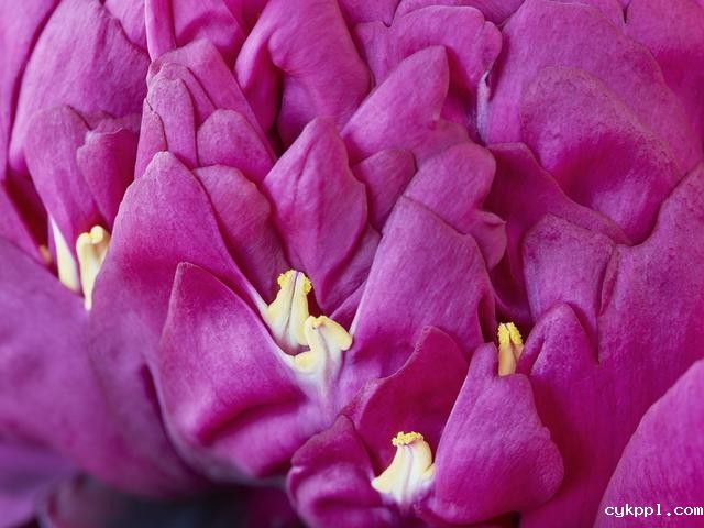 王昆峰：探索打开物性的超视觉影像