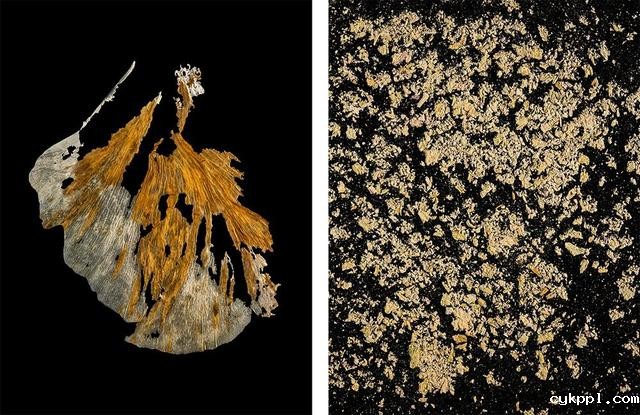 王昆峰：探索打开物性的超视觉影像