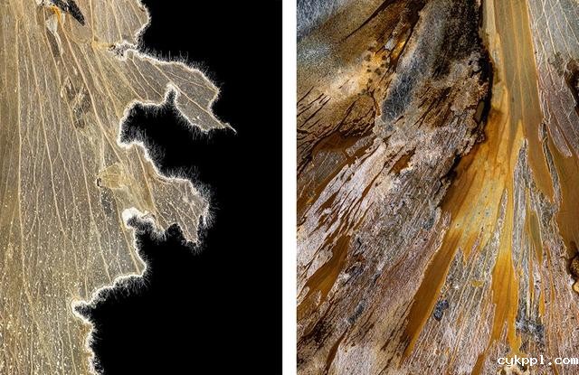 王昆峰：探索打开物性的超视觉影像