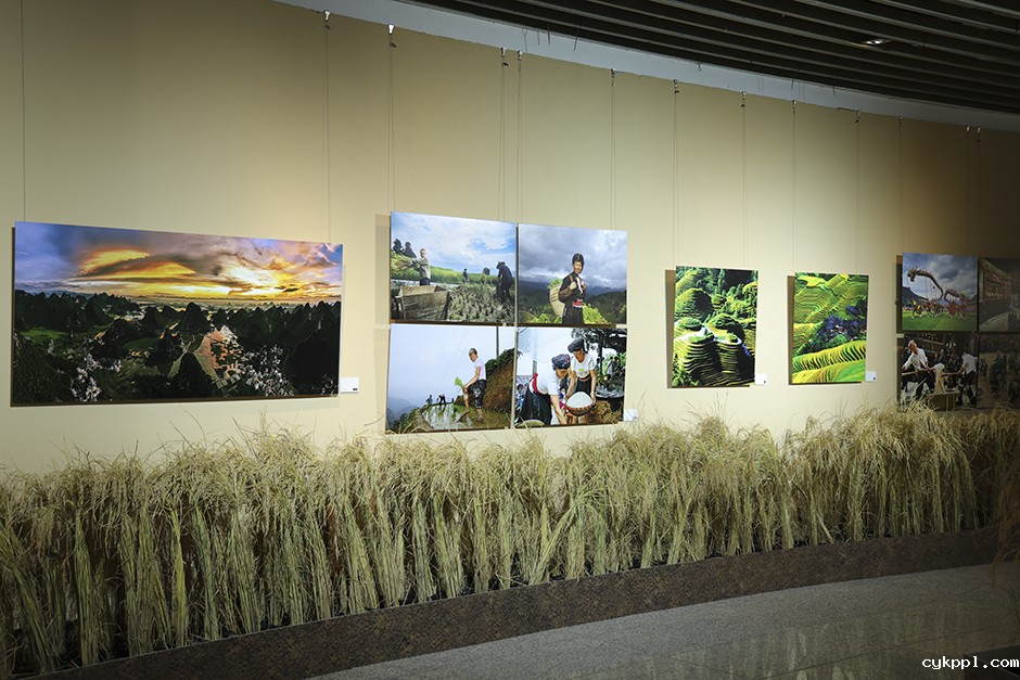 北京国际摄影周2023开幕