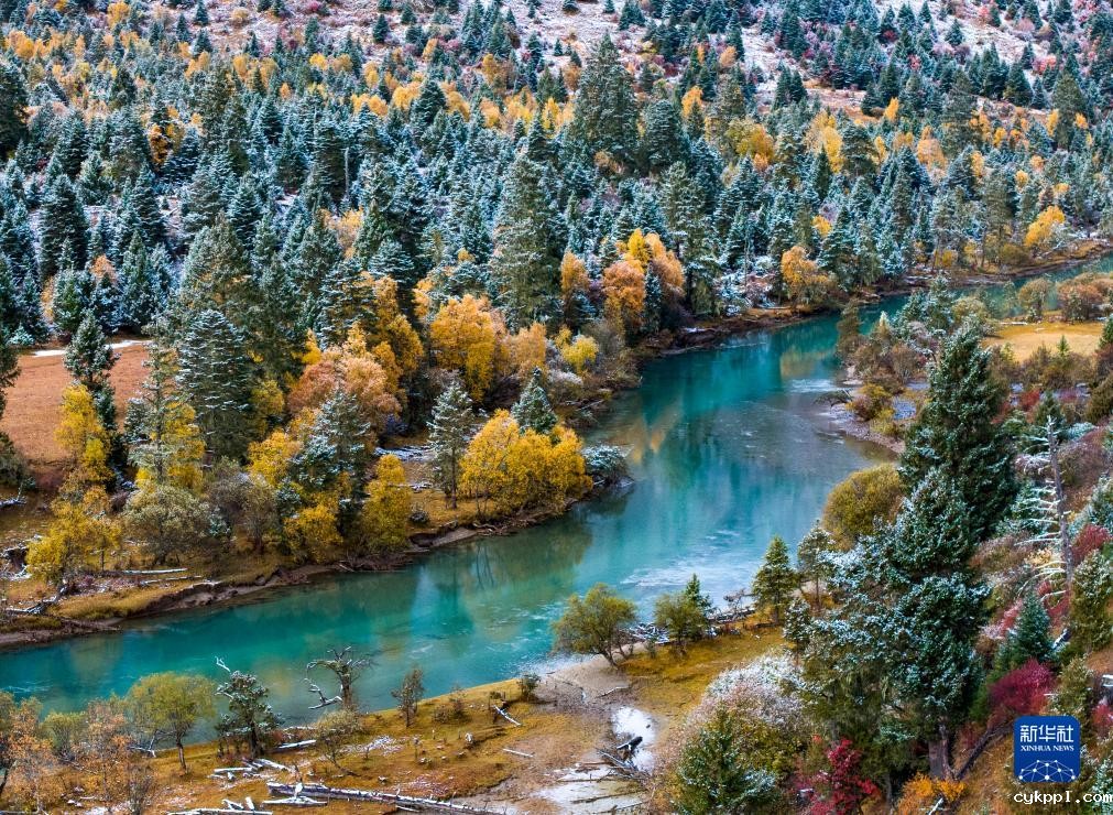 秋色林芝 如画如诗