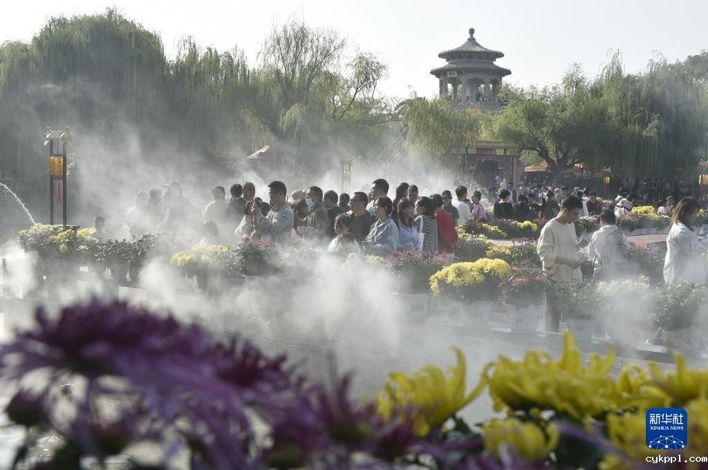 秋日风光好 菊香溢开封