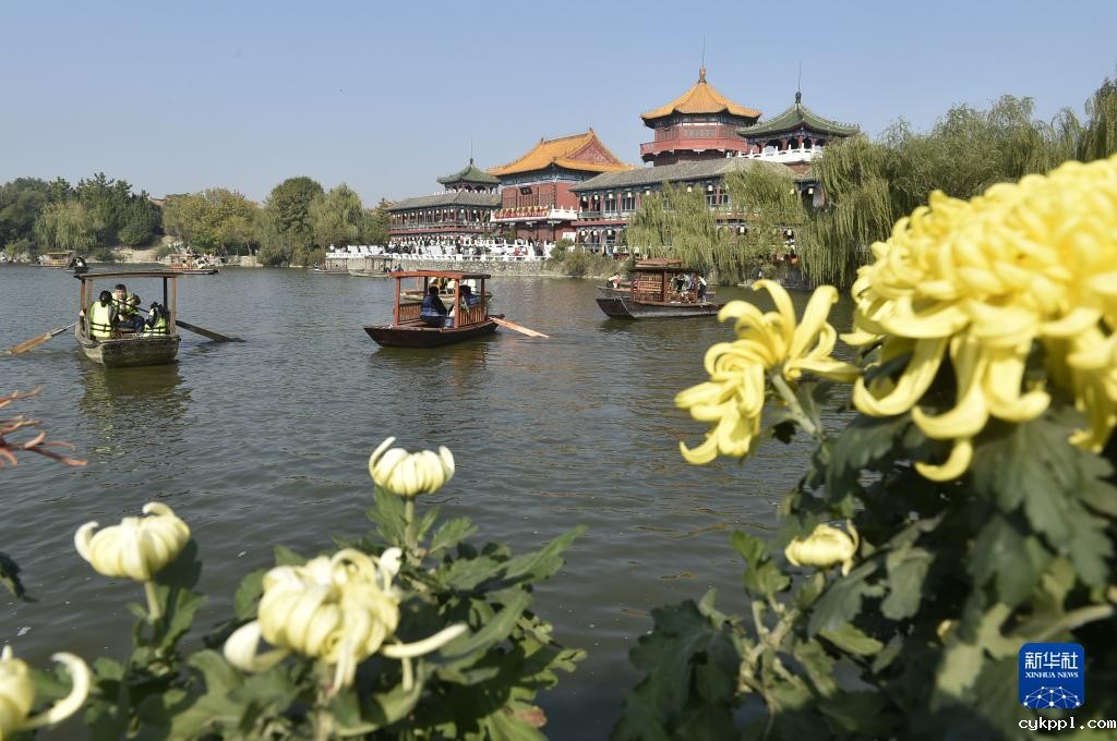 秋日风光好 菊香溢开封