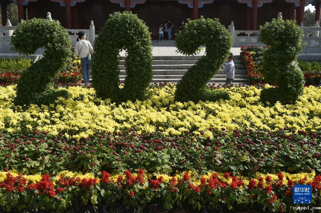 秋日风光好 菊香溢开封