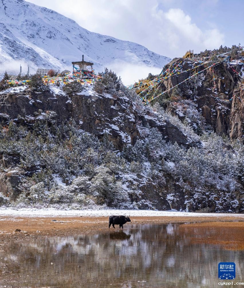 西藏：冰雪边坝 美景如画