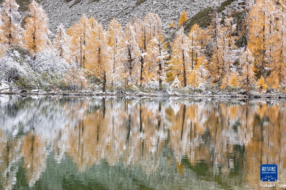 美丽中国丨川西秘境党岭村