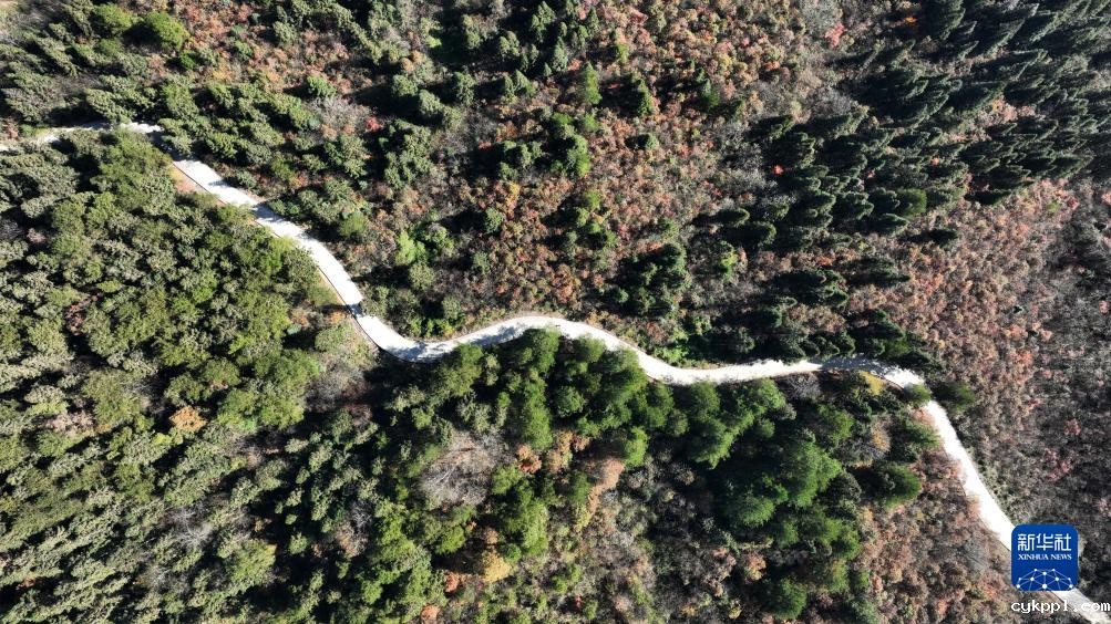 贵州道真：大沙河国家级自然保护区美景如画