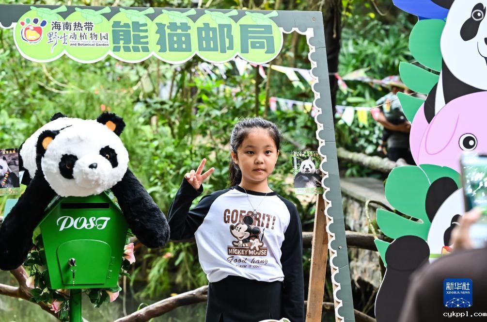 海口：庆祝“熊猫兄弟”登岛五周年